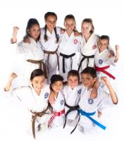 Kassis Karate Academy image 3